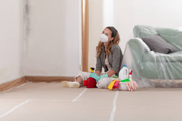 Reliable Mold Removal contractor in Washington, IL by Mold Remediation HQ